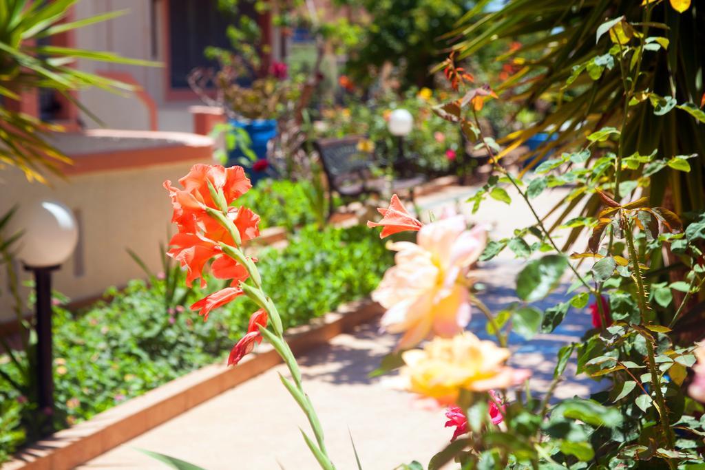 Palmira Apartments Makrýgialos エクステリア 写真